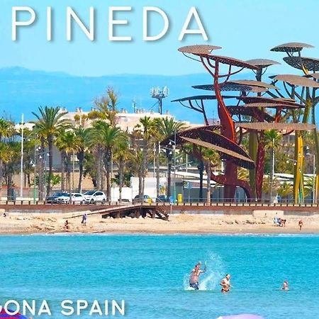 Apartament La Pineda Playa Zewnętrze zdjęcie
